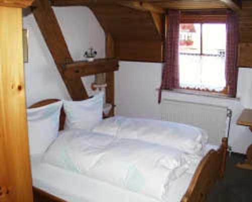 Hotel Restaurant Schrotmuehle Scheinfeld Екстер'єр фото